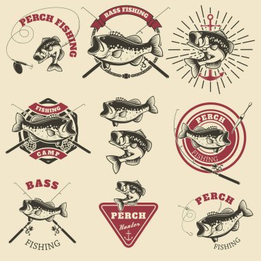 Bas balıkçılık etiketleri. Levrek balığı. Balıkçılık kulübü için amblemşablonları. Vektör çizimi.