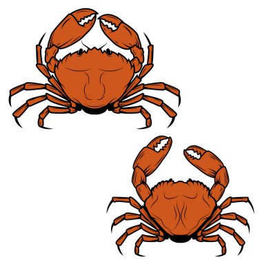 Set of the crabs icons in vector. Crab label. Crabs icons isolated on white background. Vector design element. clipart