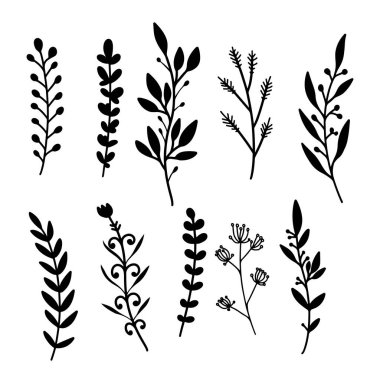 El çizimi çiçek dalları. Dekorasyon için tasarım ögesi. Vektör illüstrasyonu