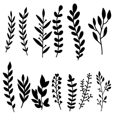 El çizimi çiçek dalları. Dekorasyon için tasarım ögesi. Vektör illüstrasyonu