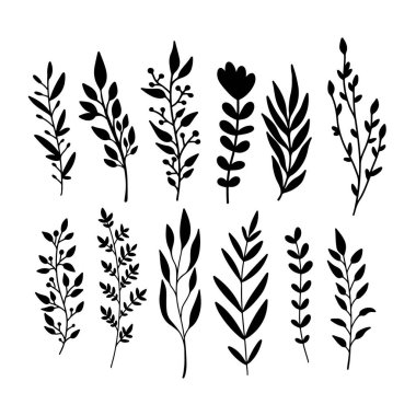 El çizimi çiçek dalları. Dekorasyon için tasarım ögesi. Vektör illüstrasyonu