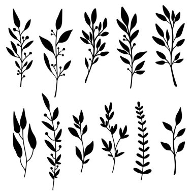 El çizimi çiçek dalları. Dekorasyon için tasarım ögesi. Vektör illüstrasyonu