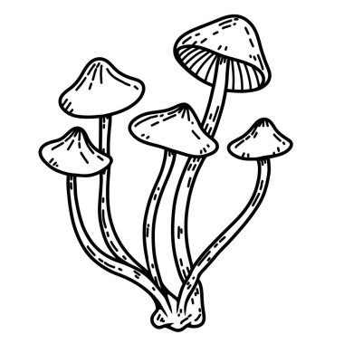 Mantarların el çizimi çizimi. Dekorasyon için tasarım ögesi. Vektör illüstrasyonu