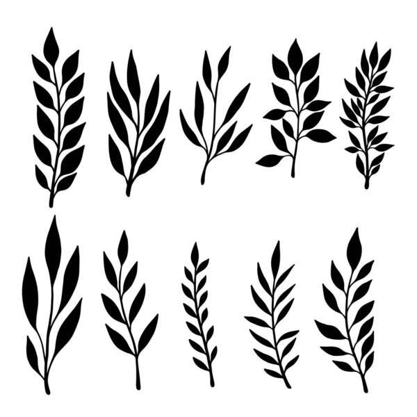 Набор ручной работы цветочные ветви. Элемент дизайна для украшения. Векторная иллюстрация