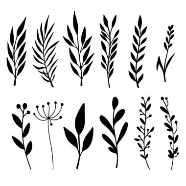 El çizimi çiçek dalları. Dekorasyon için tasarım ögesi. Vektör illüstrasyonu