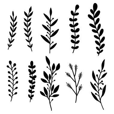 El çizimi çiçek dalları. Dekorasyon için tasarım ögesi. Vektör illüstrasyonu