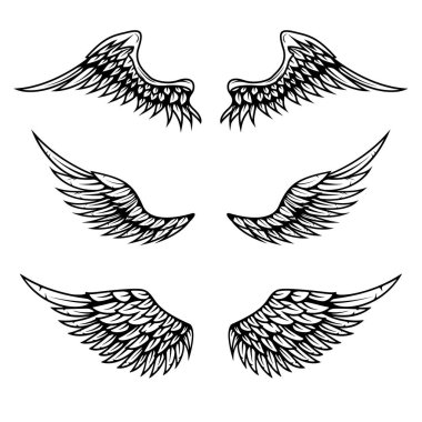 Beyaz arka plan üzerinde yalıtılmış bağbozumu vektör kanatları kümesi. Tasarım