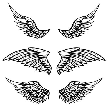 Beyaz arka plan üzerinde yalıtılmış bağbozumu vektör kanatları kümesi. Tasarım