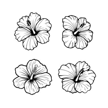 Beyaz arka planda izole edilmiş amber çiçeği tasviri. Tasarım ögesi