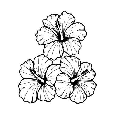 Beyaz arka planda izole edilmiş amber çiçeği tasviri. Tasarım ögesi