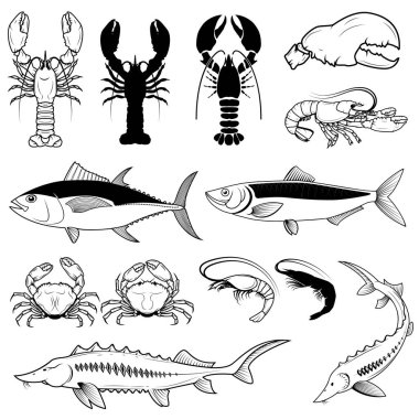 Balık, yengeç, karides, ıstakoz. Vektör tasarım ögeleri
