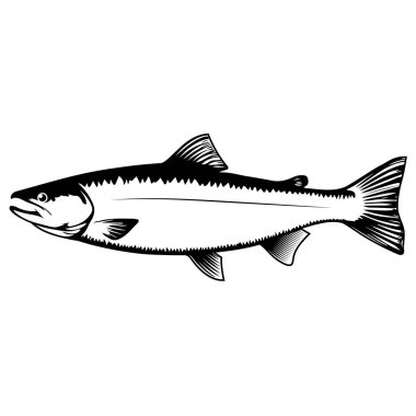 Beyaz arka planda somon simgesi izole edildi. Logo, etiket, amblem, işaret, pankart, poster için tasarım ögesi. Vektör illüstrasyonu