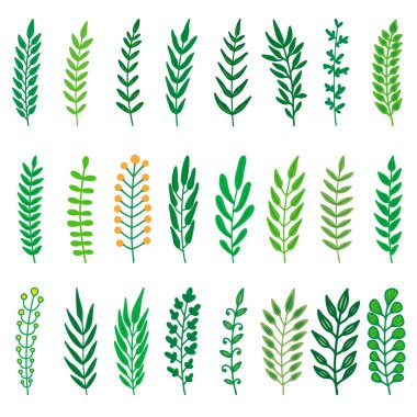 Çizgi film yaprakları, dallar, çiçekler, çiçekler. Pankart, işaret, poster ve dekorasyon için tasarım öğesi. Vektör illüstrasyonu