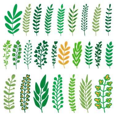 Çizgi film yaprakları, dallar, çiçekler, çiçekler. Pankart, işaret, poster ve dekorasyon için tasarım öğesi. Vektör illüstrasyonu