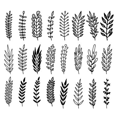 El yapımı yapraklar, dallar, çiçekler, yeşillikler. Pankart, işaret, poster ve dekorasyon için tasarım öğesi. Vektör illüstrasyonu