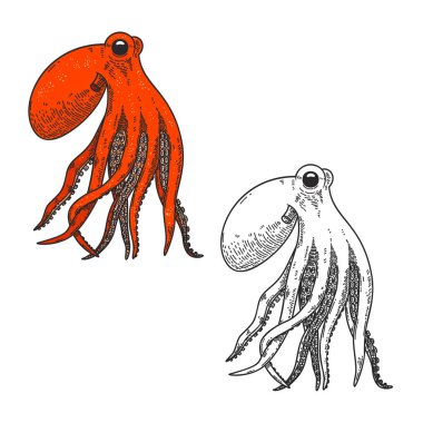 Ahtapotun kabartma stilindeki görüntüsü. Poster, kart, pankart, imza için tasarım ögesi