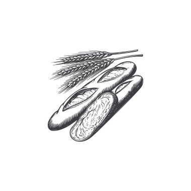 Ekmek ve buğday kabartması. Fırın için klasik ekmek illüstrasyonu. Vektör illüstrasyonu
