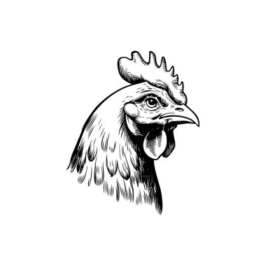 Tavuk kafasının kabartma çizimi. Vektör illüstrasyonu