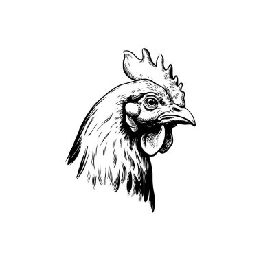 Tavuk kafasının kabartma çizimi. Vektör illüstrasyonu