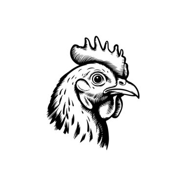 Tavuk kafasının kabartma çizimi. Vektör illüstrasyonu