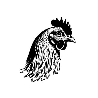 Tavuk kafasının kabartma çizimi. Vektör illüstrasyonu