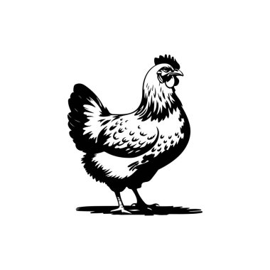 Çiftçilerin bahçesindeki tavuğun kabartma çizimi. Vektör illüstrasyonu