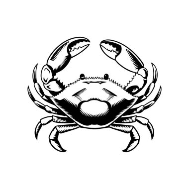Yengecin klasik oyma çizimi. Yengeçli deniz ürünleri amblemi. Vektör yengeç illüstrasyonu