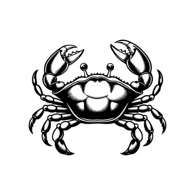 Yengecin klasik oyma çizimi. Yengeçli deniz ürünleri amblemi. Vektör yengeç illüstrasyonu