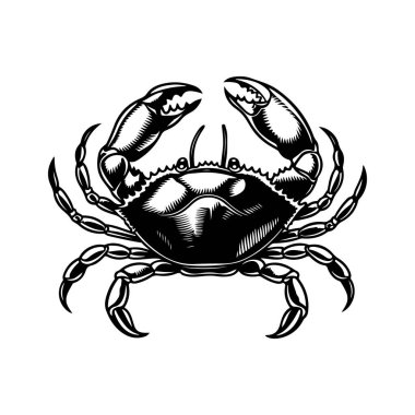 Yengecin klasik oyma çizimi. Yengeçli deniz ürünleri amblemi. Vektör yengeç illüstrasyonu
