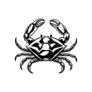 Yengecin klasik oyma çizimi. Yengeçli deniz ürünleri amblemi. Vektör yengeç illüstrasyonu