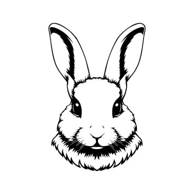 Tavşan kafası tasviri. Logo, etiket ve imza için tasarım ögesi. Vektör illüstrasyonu