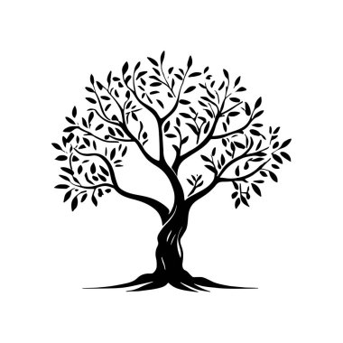 Zeytin ağacı silueti simgesi. Logo, etiket ve imza için tasarım ögesi. Vektör illüstrasyonu