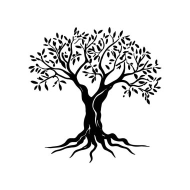 Zeytin ağacı silueti simgesi. Logo, etiket ve imza için tasarım ögesi. Vektör illüstrasyonu