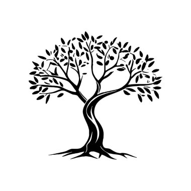 Zeytin ağacı silueti simgesi. Logo, etiket ve imza için tasarım ögesi. Vektör illüstrasyonu