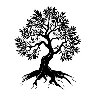 Zeytin ağacı silueti simgesi. Logo, etiket ve imza için tasarım ögesi. Vektör illüstrasyonu