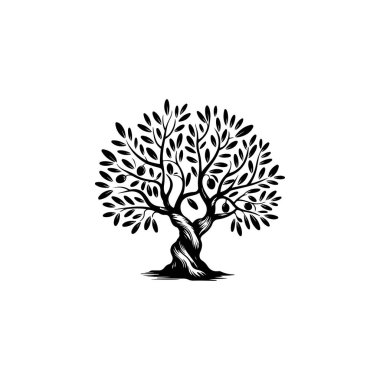 Zeytin ağacı silueti simgesi. Logo, etiket ve imza için tasarım ögesi. Vektör illüstrasyonu