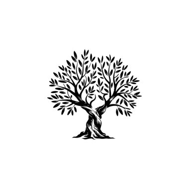 Zeytin ağacı silueti simgesi. Logo, etiket ve imza için tasarım ögesi. Vektör illüstrasyonu