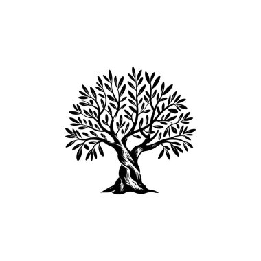 Zeytin ağacı silueti simgesi. Logo, etiket ve imza için tasarım ögesi. Vektör illüstrasyonu