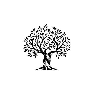 Zeytin ağacı silueti simgesi. Logo, etiket ve imza için tasarım ögesi. Vektör illüstrasyonu