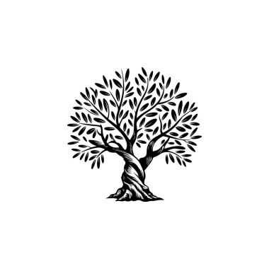Zeytin ağacı silueti simgesi. Logo, etiket ve imza için tasarım ögesi. Vektör illüstrasyonu