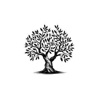 Zeytin ağacı silueti simgesi. Logo, etiket ve imza için tasarım ögesi. Vektör illüstrasyonu