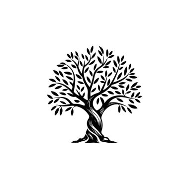 Zeytin ağacı silueti simgesi. Logo, etiket ve imza için tasarım ögesi. Vektör illüstrasyonu