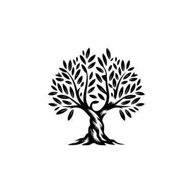 Zeytin ağacı silueti simgesi. Logo, etiket ve imza için tasarım ögesi. Vektör illüstrasyonu