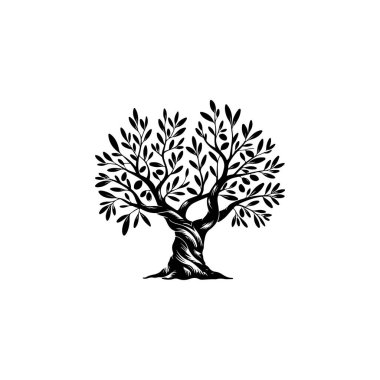 Zeytin ağacı silueti simgesi. Logo, etiket ve imza için tasarım ögesi. Vektör illüstrasyonu
