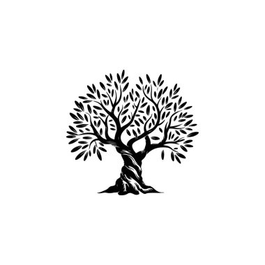 Zeytin ağacı silueti simgesi. Logo, etiket ve imza için tasarım ögesi. Vektör illüstrasyonu