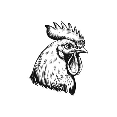 Horoz kafasının kabartma çizimi. Vektör illüstrasyonu