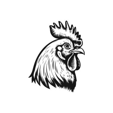 Horoz kafasının kabartma çizimi. Vektör illüstrasyonu