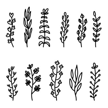 El çizimi çiçek dalları. Dekorasyon için tasarım ögesi. Vektör illüstrasyonu