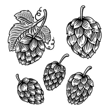 Oymacılık tarzında bira seksinin bir örneği. Poster, etiket, imza, amblem, menü için tasarım ögesi. Vektör illüstrasyonu