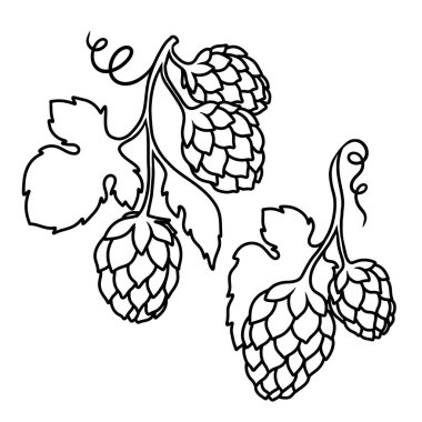 Oymacılık tarzında bira seksinin bir örneği. Poster, etiket, imza, amblem, menü için tasarım ögesi. Vektör illüstrasyonu